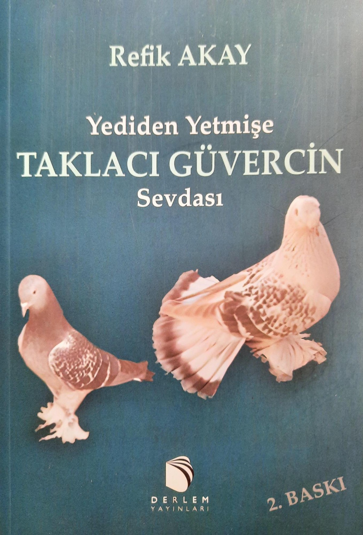 Yediden Yetmise Taklaci Guvercin Sevdasi