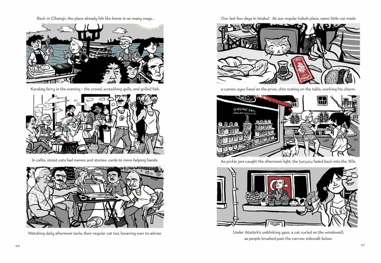 A Cat Compound in Cihangir A Cat Compound in Cihangir