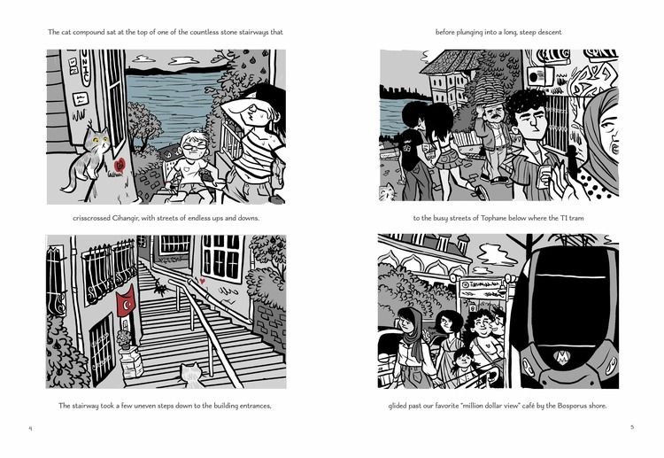 A Cat Compound in Cihangir A Cat Compound in Cihangir