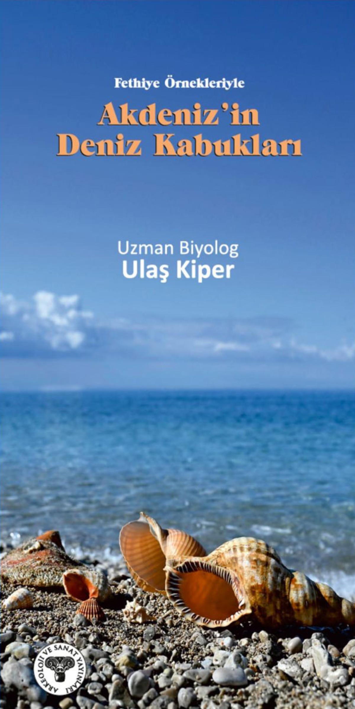 Akdeniz'in Deniz Kabuklari - Fethiye Ornekleriyle Akdeniz'in Deniz Kabuklari - Fethiye Ornekleriyle