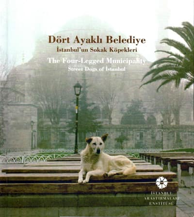 The Four-Legged Municipality Street Dogs of İstanbul / Dort Ayakli Belediye. Istanbul'un Sokak Kopekleri