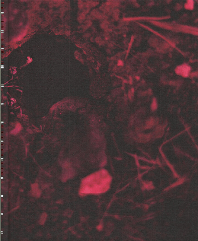 Wet Sorrow / Islak Huzun