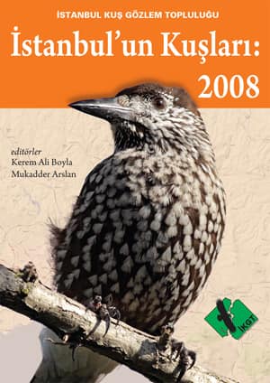Istanbul'un Kuslari: 2008