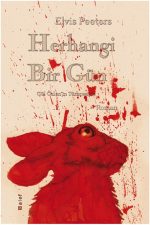 Herhangi Bir Gun