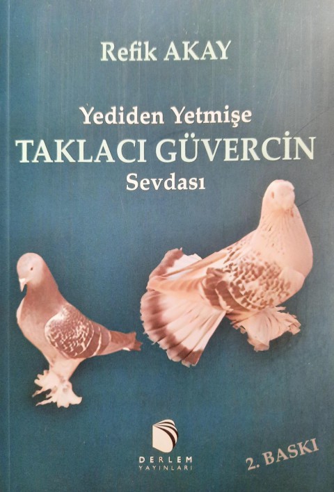 Yediden Yetmise Taklaci Guvercin Sevdasi