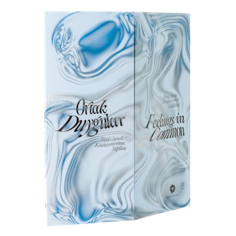 Feelings in Common Works from the British Council Collection