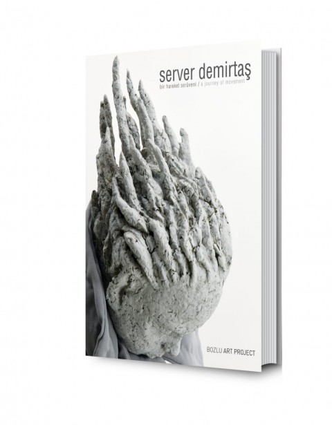 Server Demirtas: A Journey of Movement