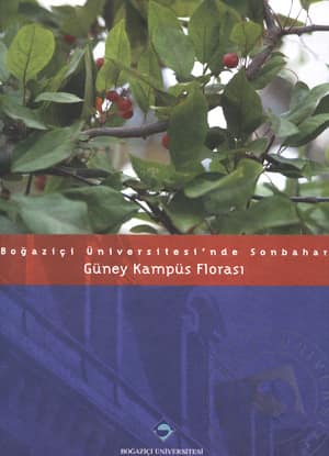 Bogazici Universitesi'nde Sonbahar Guney Kampus Florasi