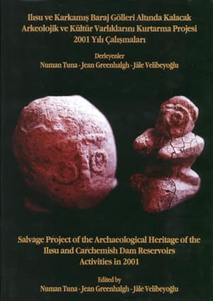 Salvage Project of the Archaeological Heritage of the Ilisu and Carchemish Dam Reservoirs Activities in 2001