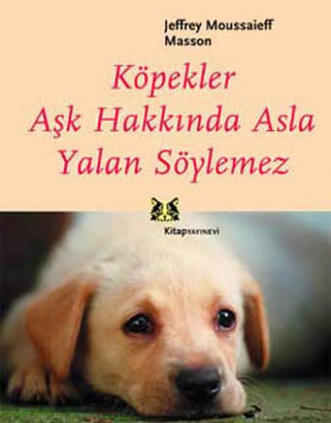 Kopekler Ask Hakkinda Asla Yalan Soylemez