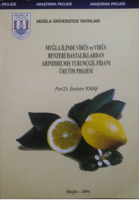Mugla Ilinde Virus ve Virus Benzeri Hastaliklardan Arindirilmis Turuncgil Fidani Uretim Projesi