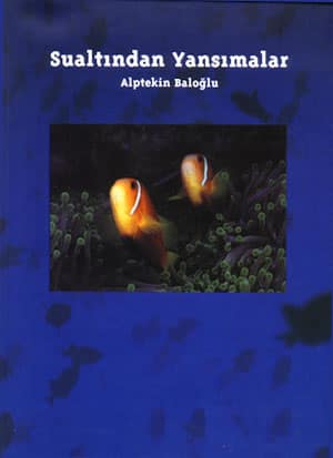Sualtindan Yansimalar